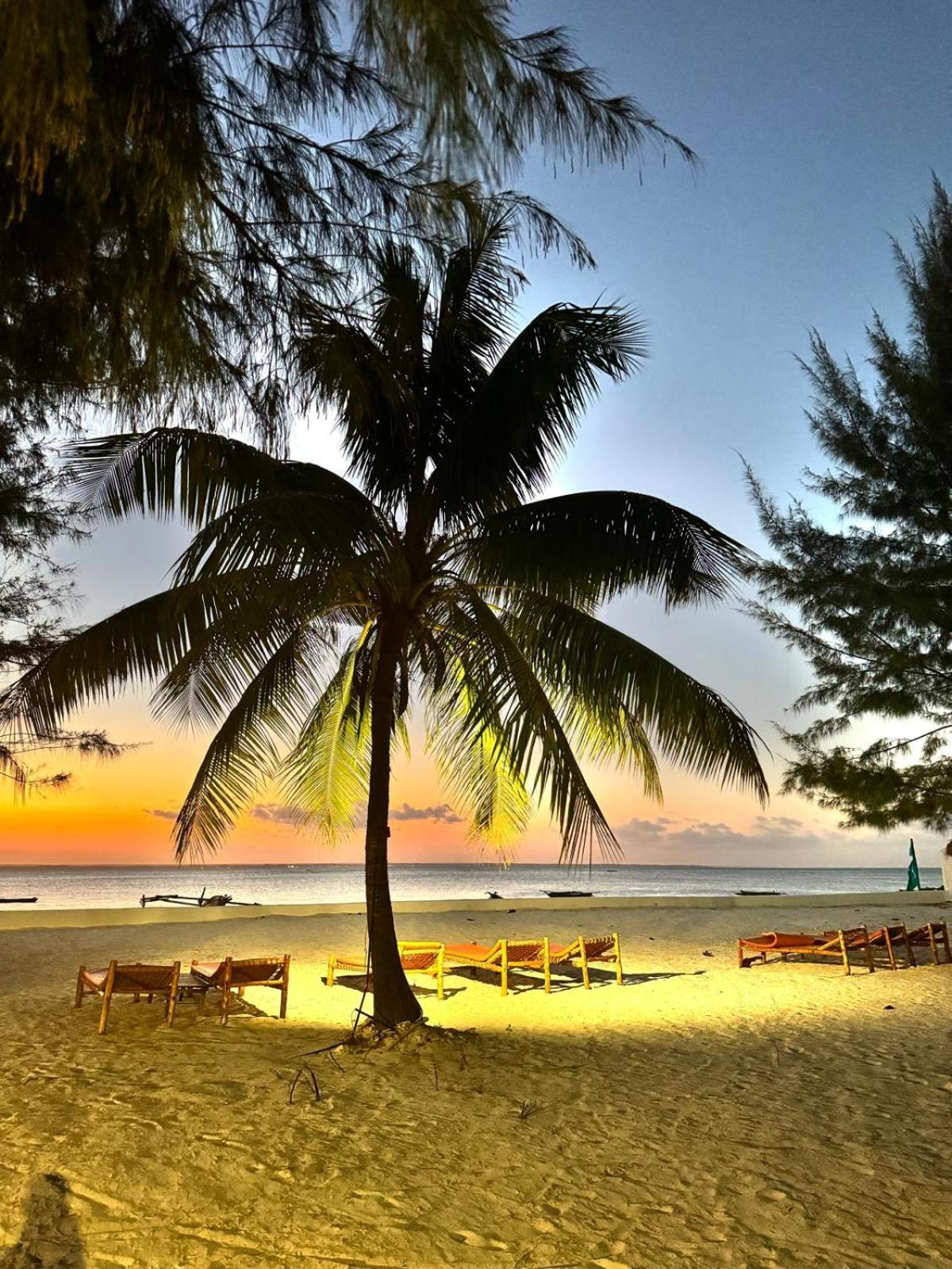 Bahati Sunset Bungalows Michamvi Exterior photo